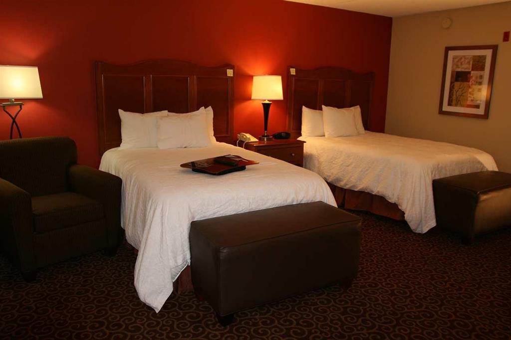 Hampton Inn Chicago-Carol Stream Room photo